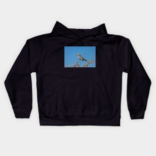 Namibia. Etosha National Park. Southern Yellow-Billed Hornbill. Kids Hoodie